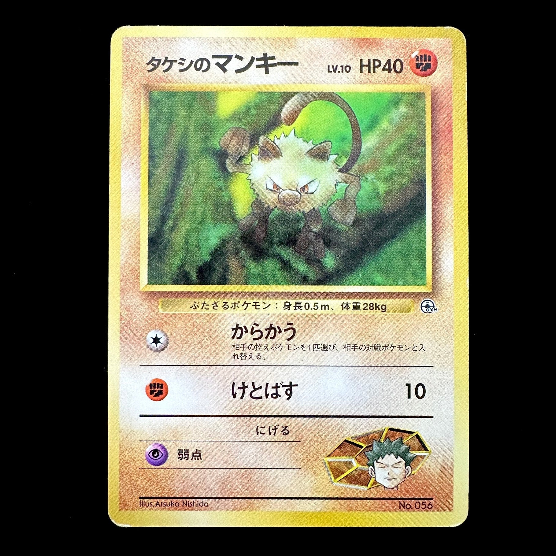 POKEMON CARD GAME GYM - Mankey